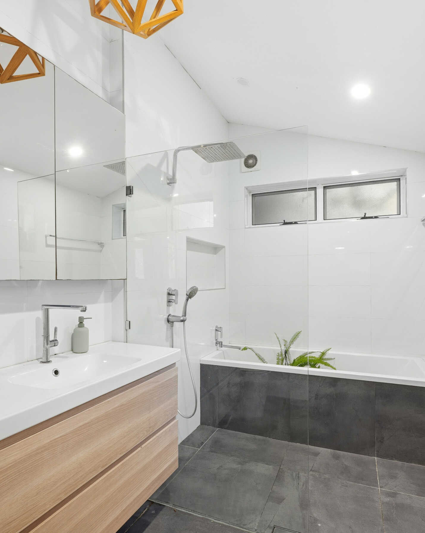 24 Kilbride Street Hurlstone Park, Park - Thumbnail 3