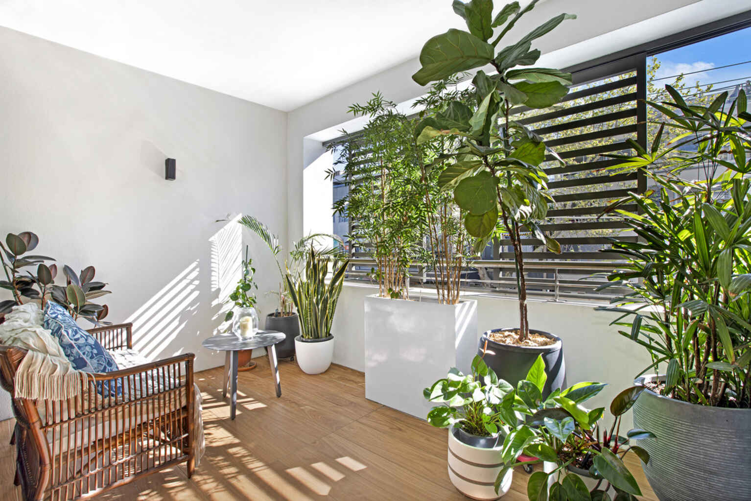 101/467 Miller Street Cammeray