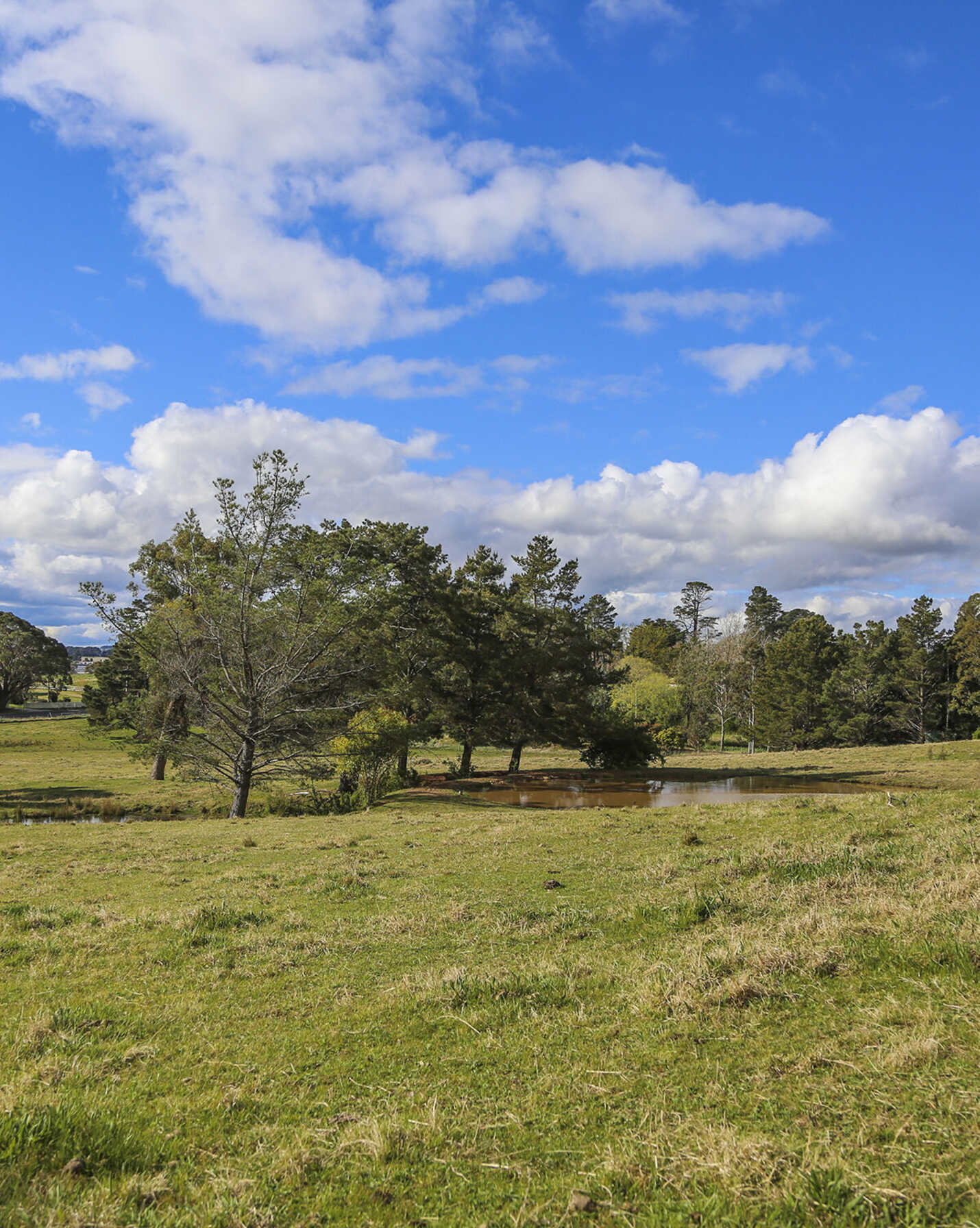 7031 Illawarra Highway Moss Vale, Vale - Thumbnail 2
