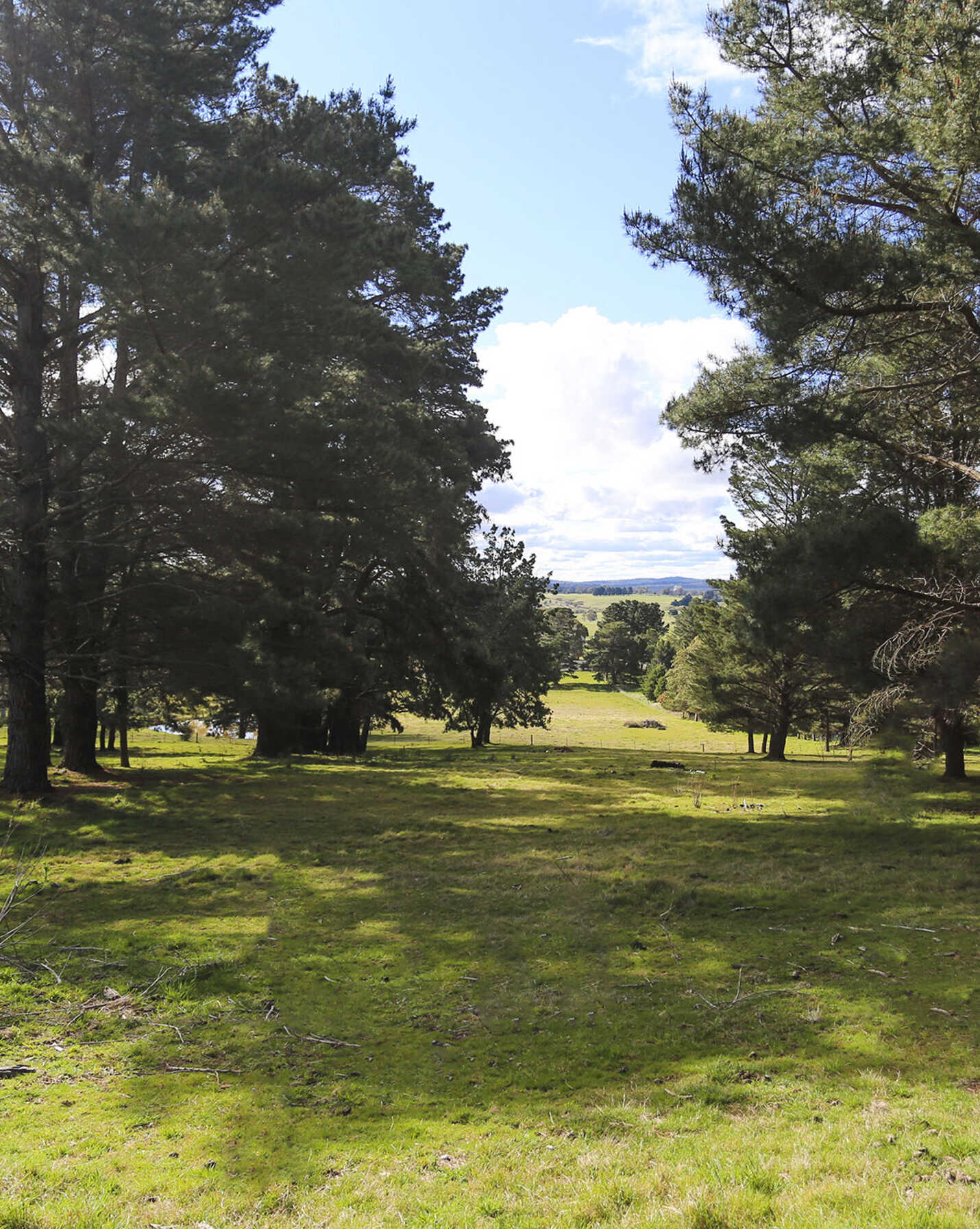7031 Illawarra Highway Moss Vale, Vale - Thumbnail 3