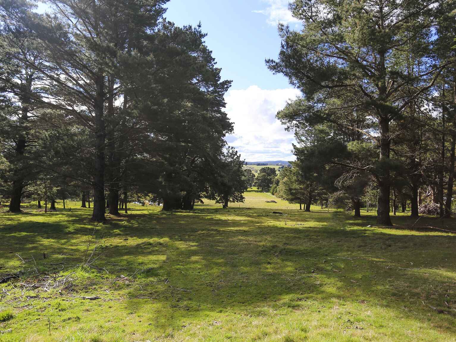 7031 Illawarra Highway Moss Vale