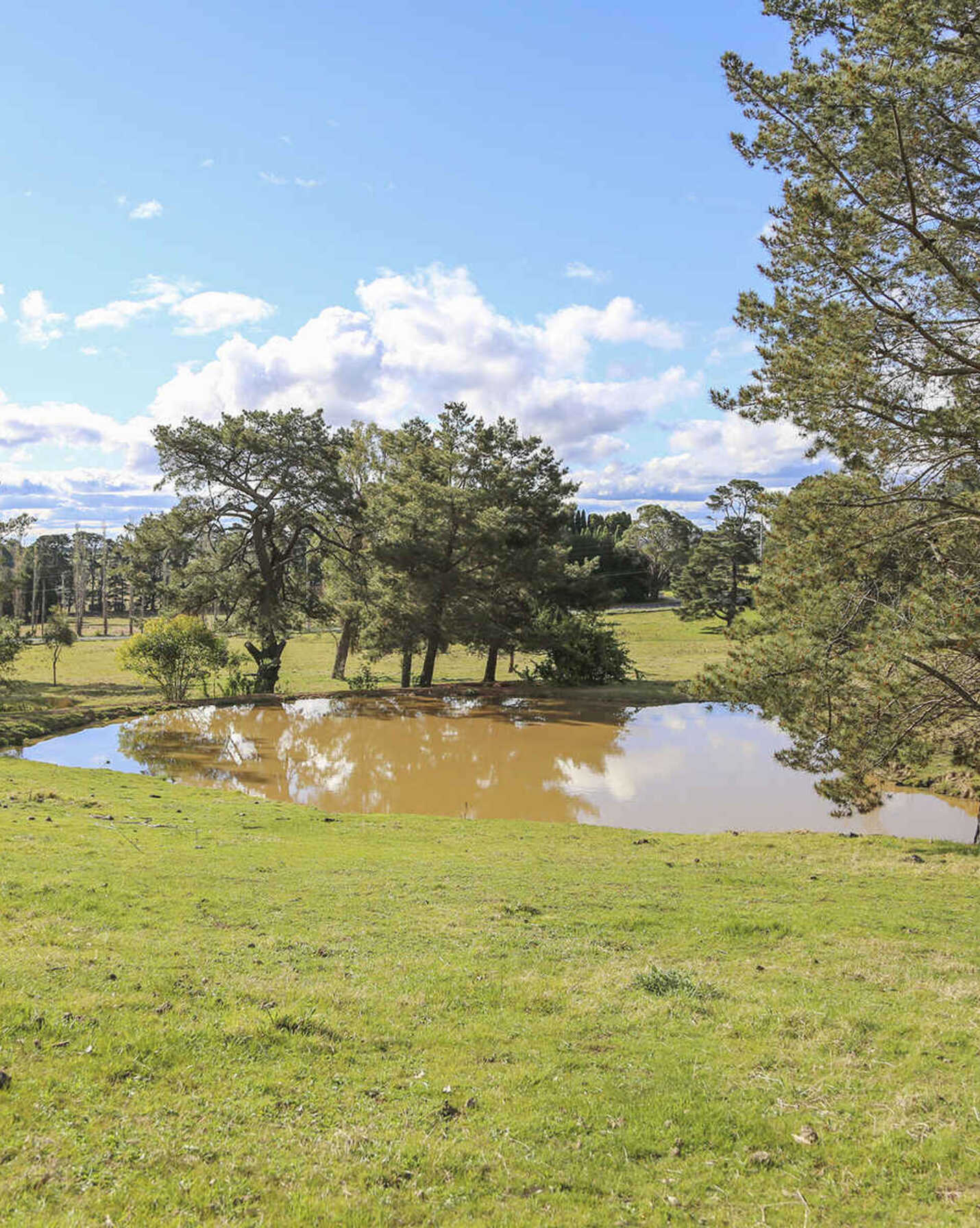 7031 Illawarra Highway Moss Vale, Vale - Thumbnail 5
