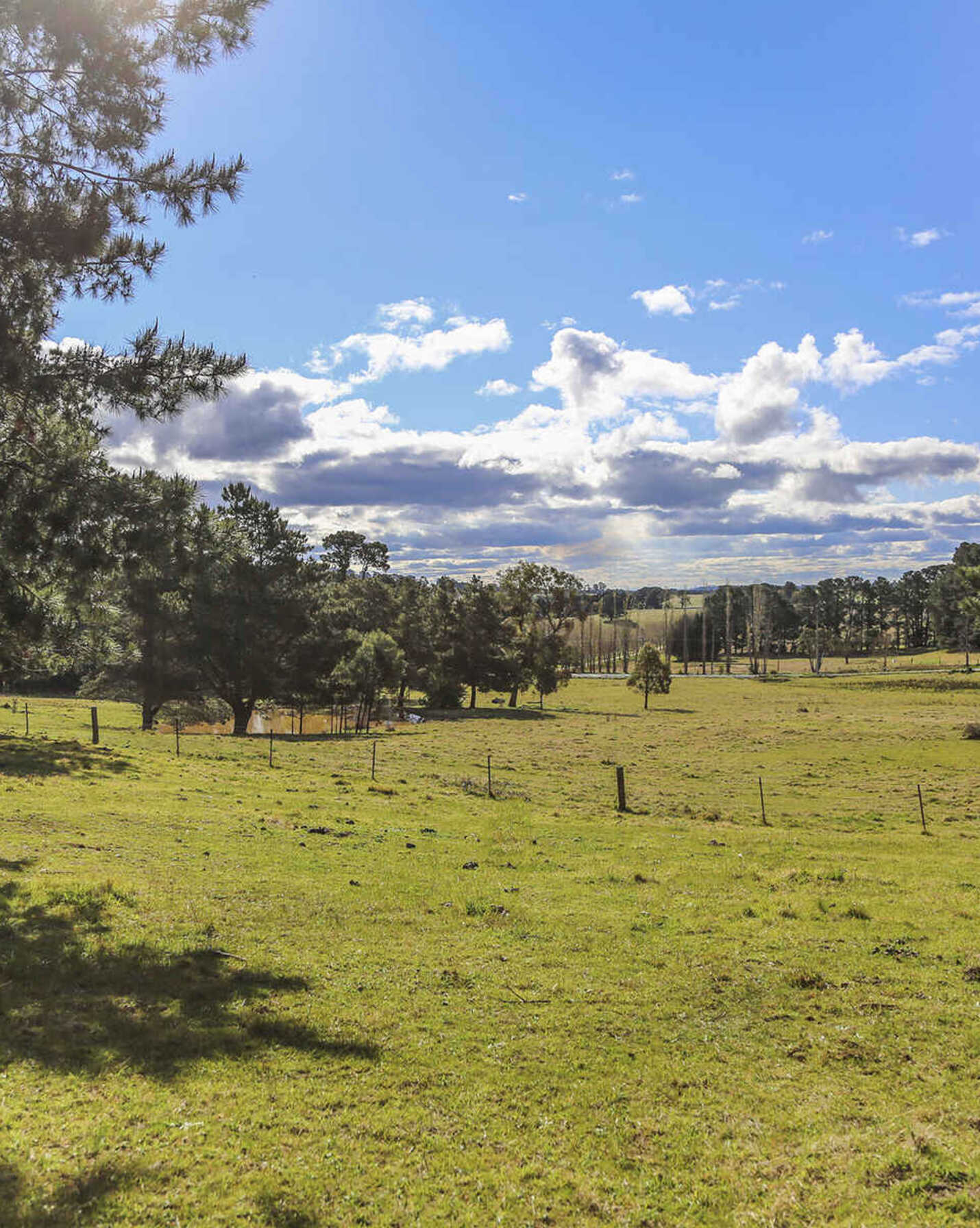 7031 Illawarra Highway Moss Vale, Vale - Thumbnail 6