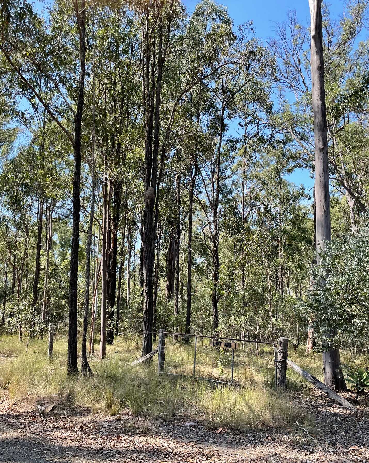 Lot 183 Arborthree Road Glenwood, Glenwood - Image 1