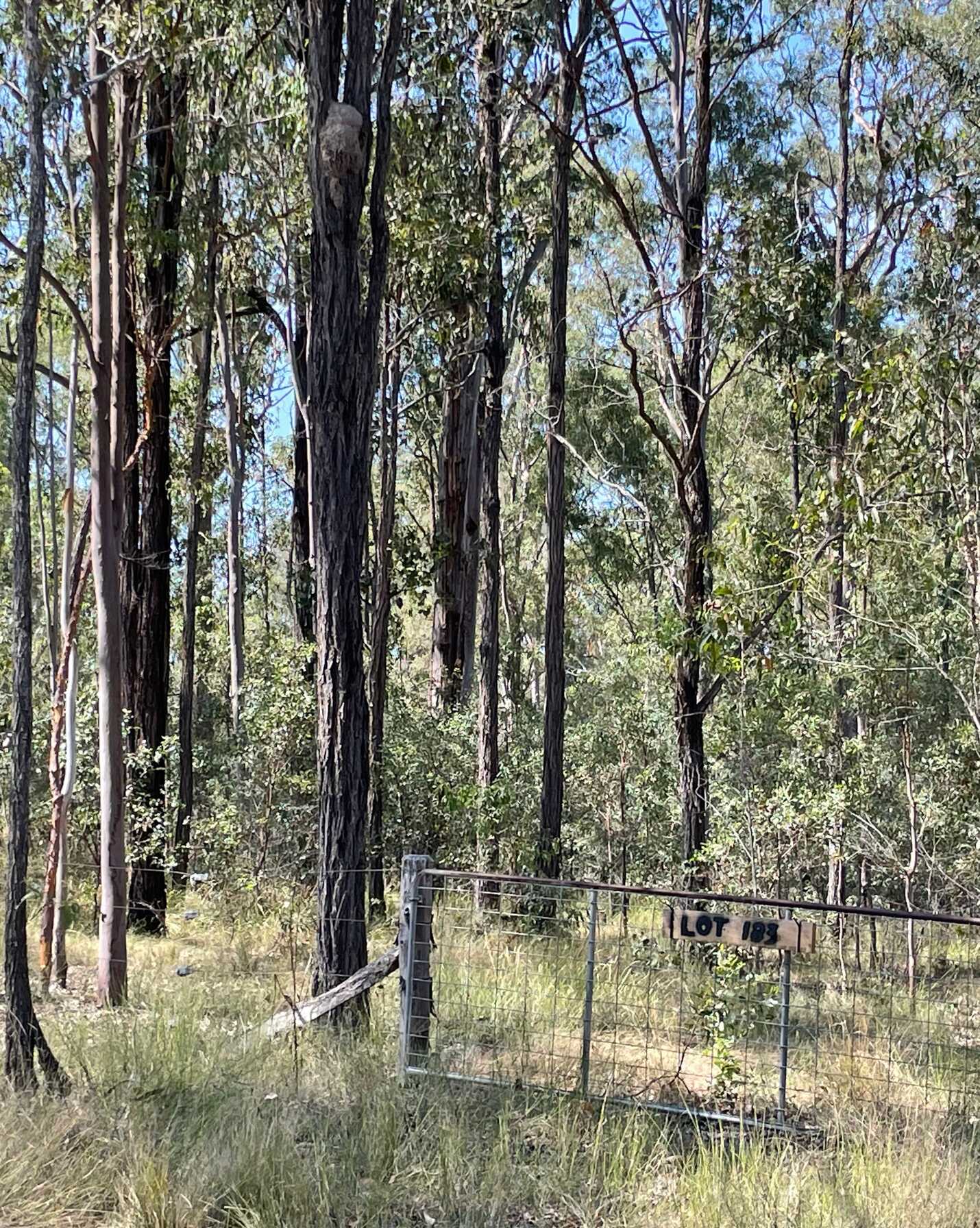 Lot 183 Arborthree Road Glenwood, Glenwood - Thumbnail 3