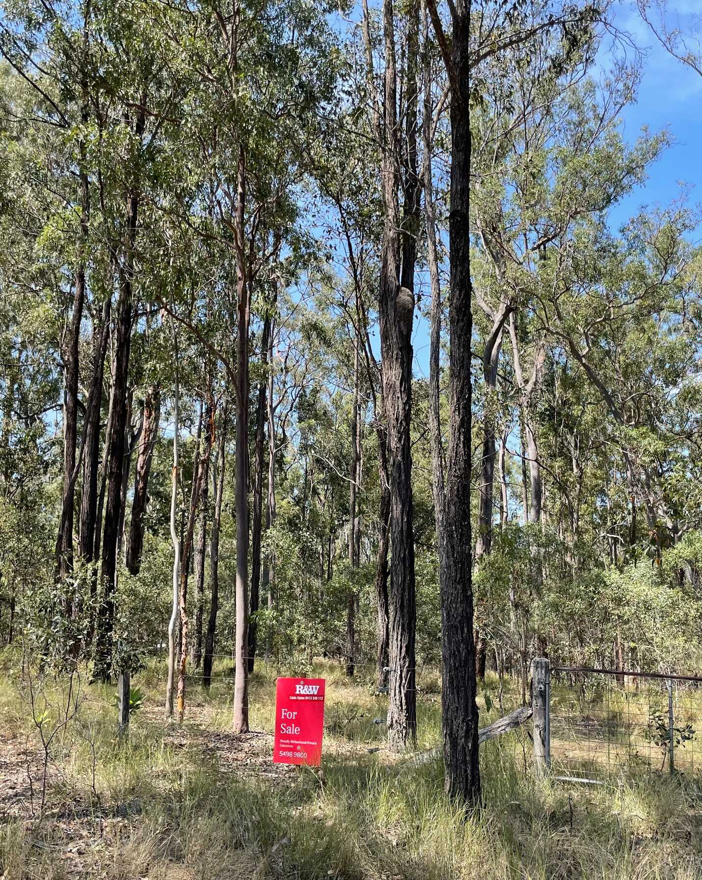 Lot 183 Arborthree Road Glenwood, Glenwood - Thumbnail 4