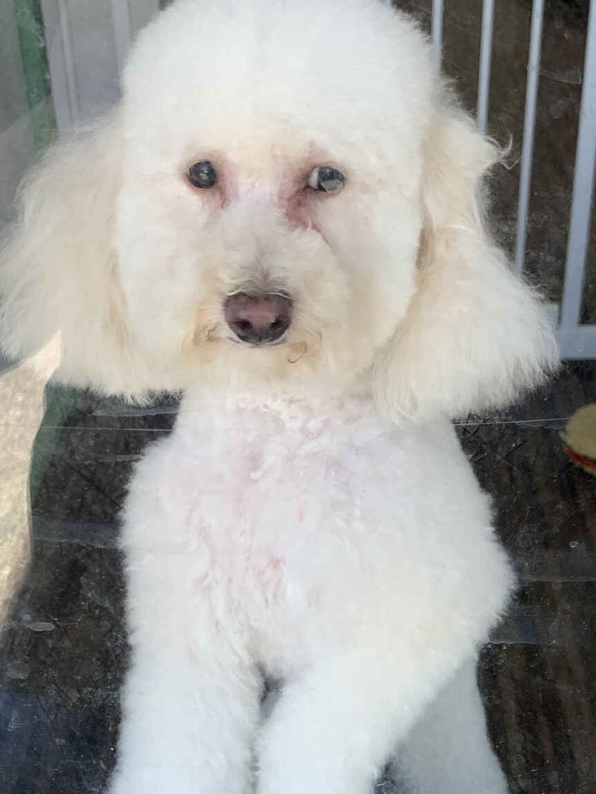 57 Enmore Road Newtown