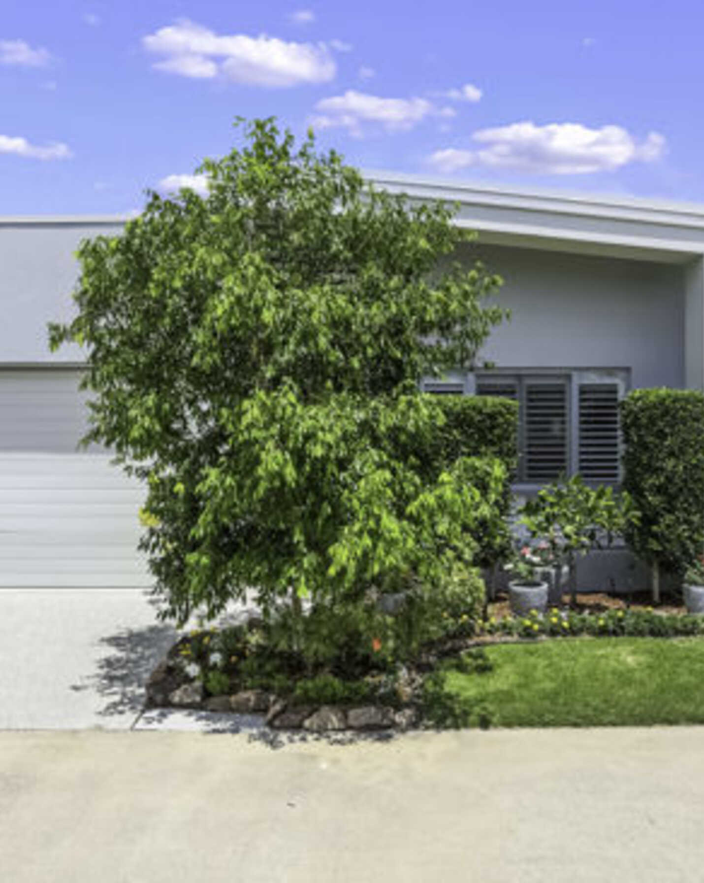 121/19 Bongaree Avenue Bongaree, Bongaree - Thumbnail 7