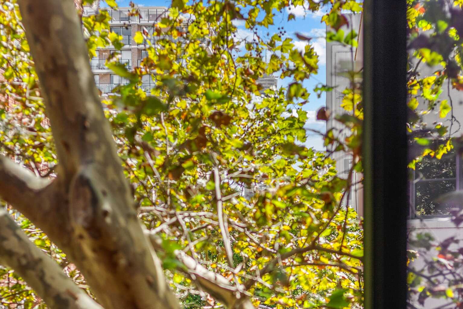 216/50 Macleay Street Potts Point 216/50 Macleay Street Potts Point