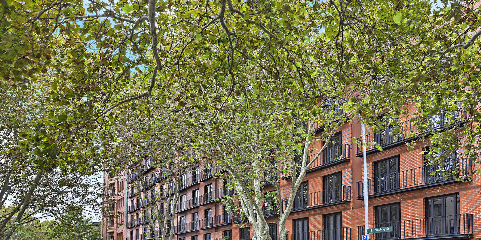 216/50 Macleay Street Potts Point 216/50 Macleay Street Potts Point
