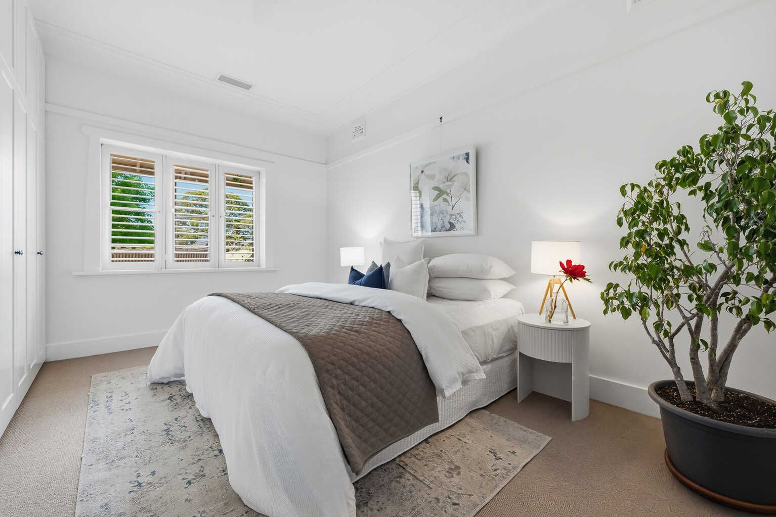 60 Cary Street Marrickville 60 Cary Street Marrickville