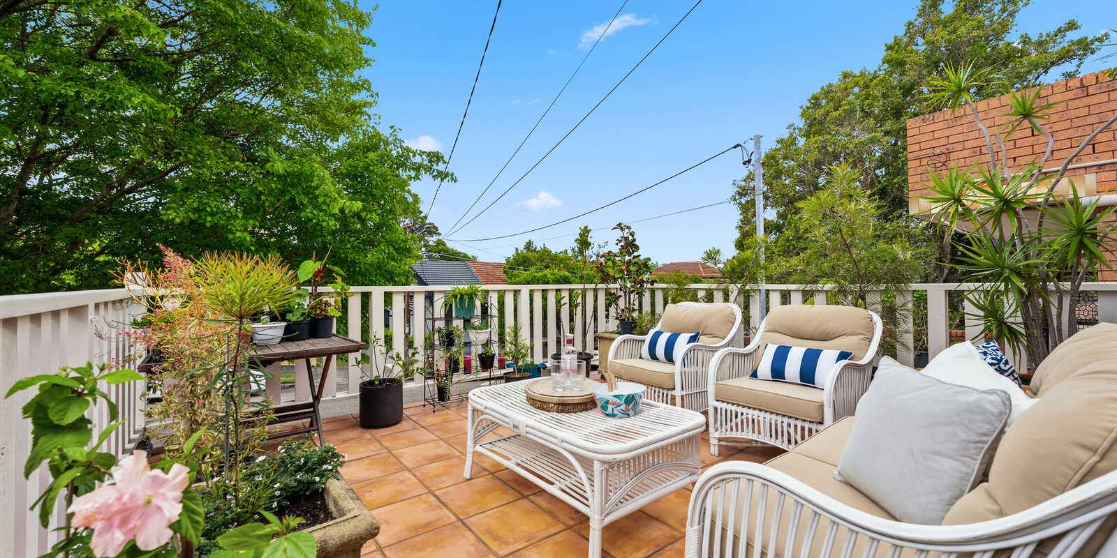 60 Cary Street Marrickville 60 Cary Street Marrickville