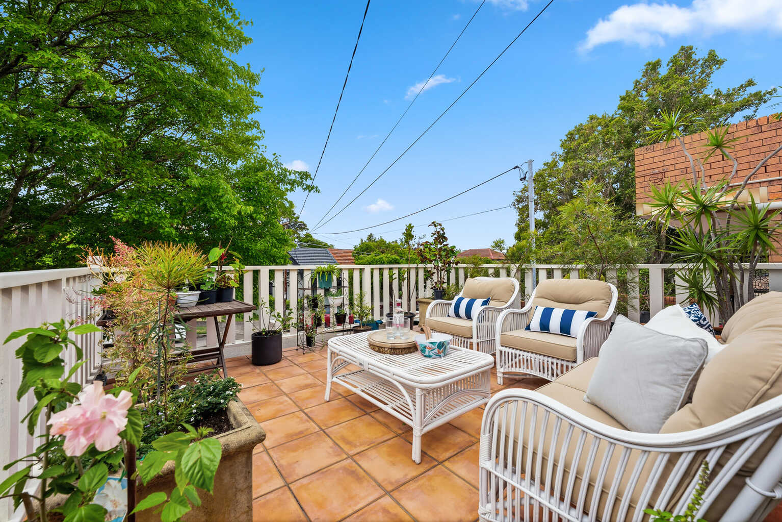 60 Cary Street Marrickville 60 Cary Street Marrickville