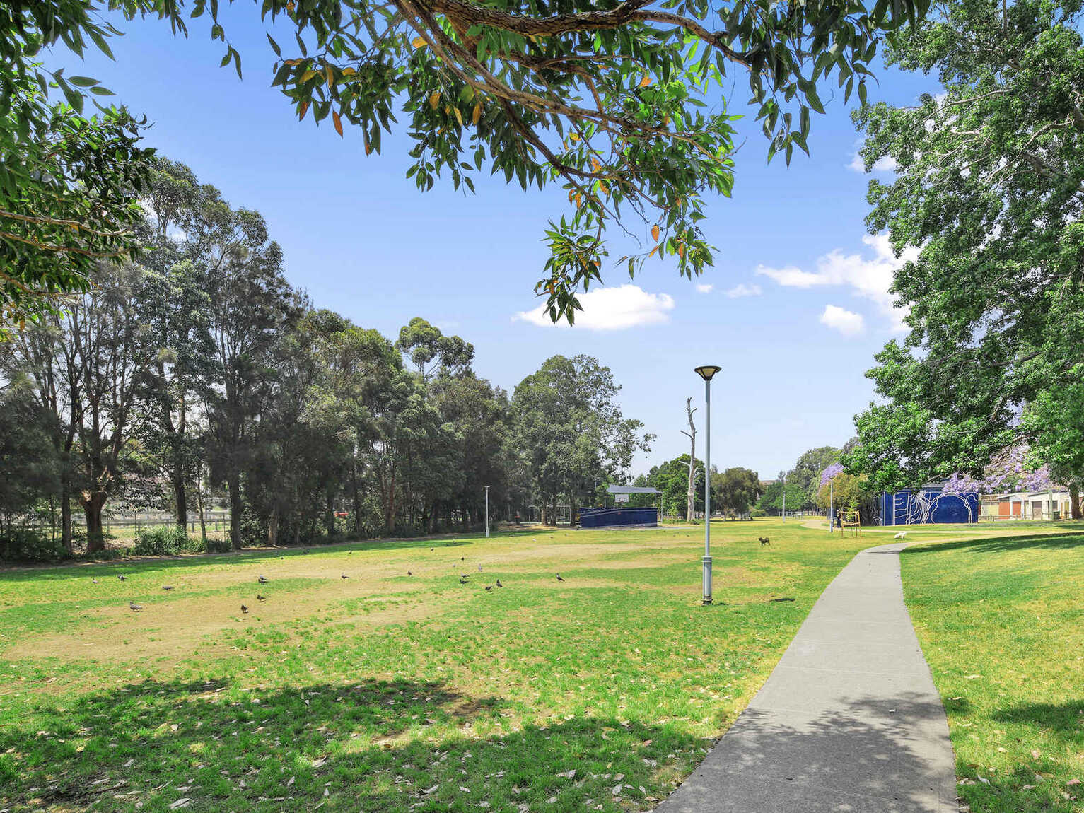 15/277 Livingstone Road Marrickville