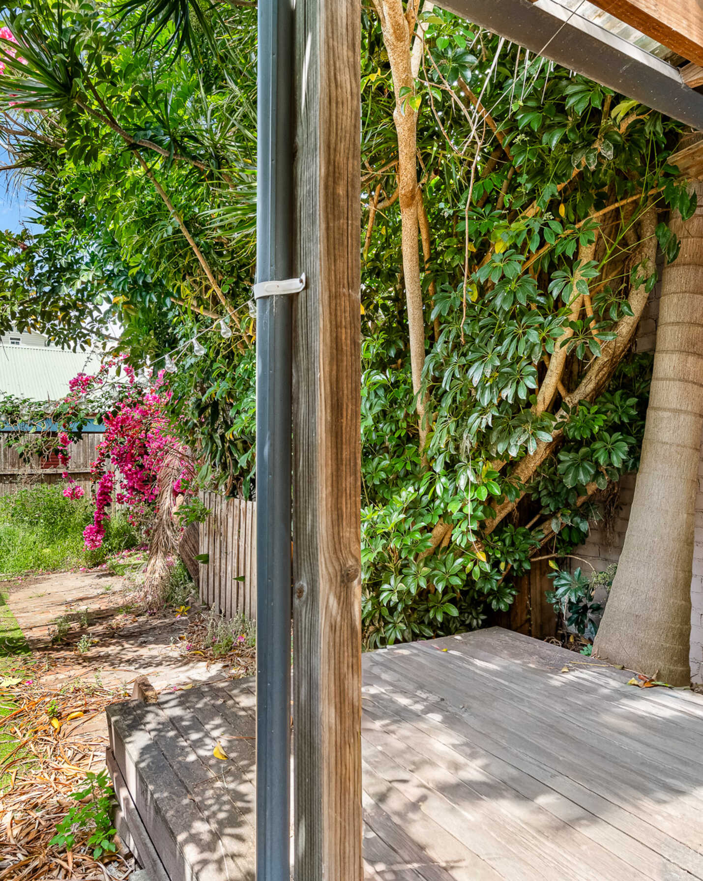 82 Gowrie Street Newtown, Newtown - Thumbnail 6