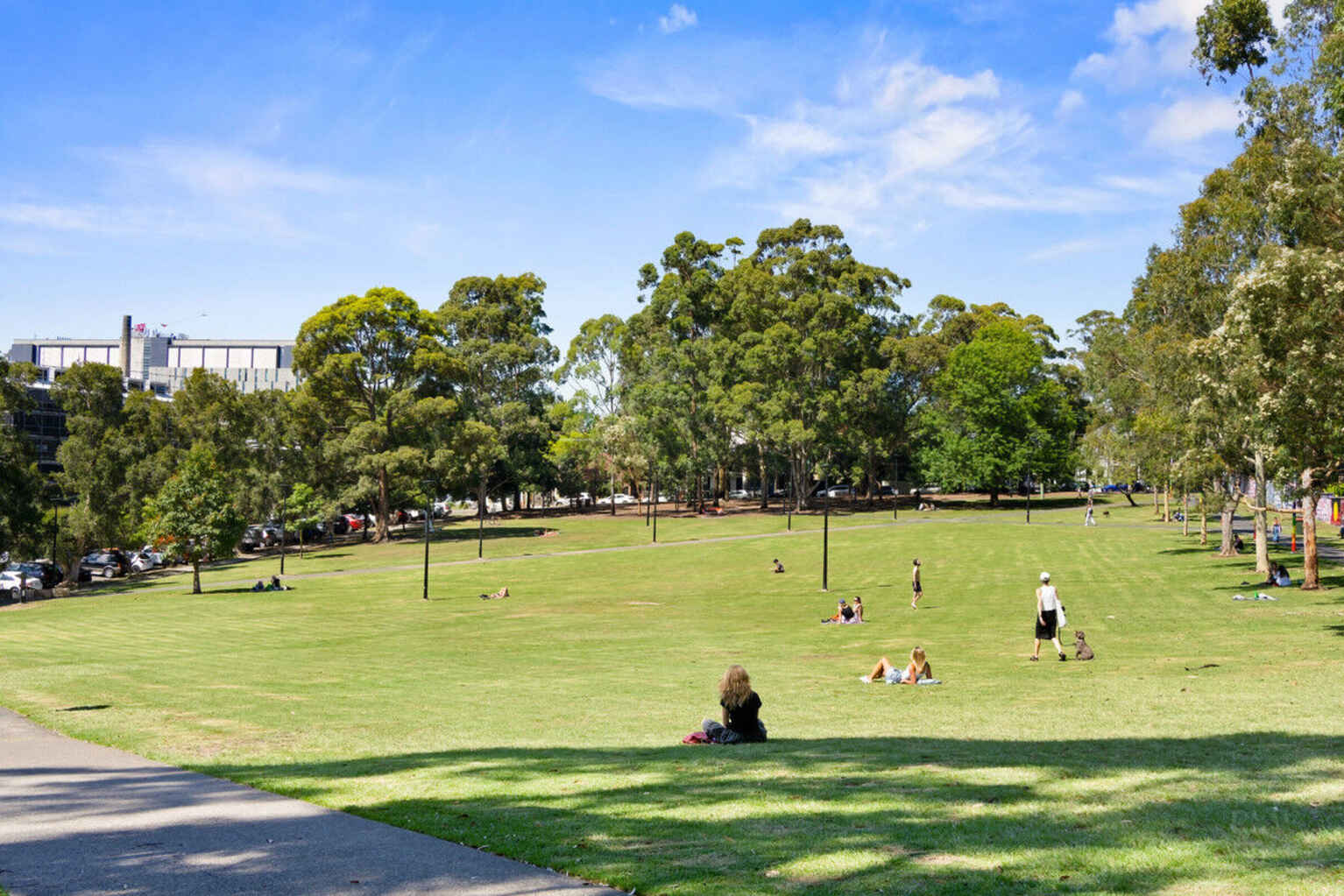 19 Fowler Street Camperdown