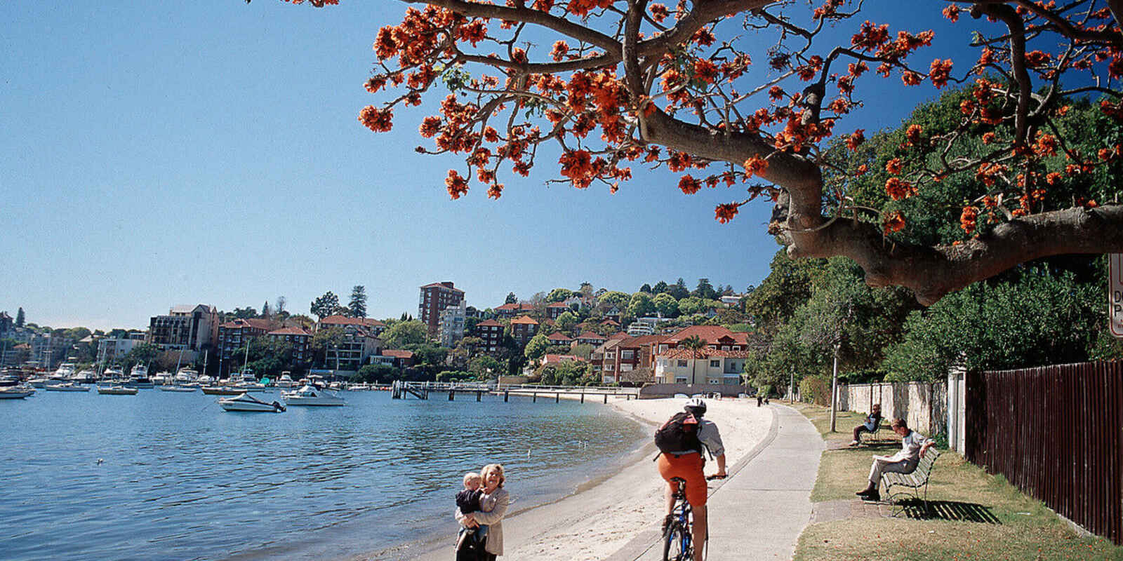 3/535-537 New South Head Road Double Bay 3/535-537 New South Head Road Double Bay