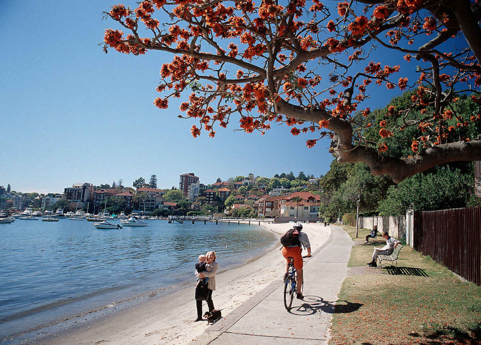 3/535-537 New South Head Road Double Bay 3/535-537 New South Head Road Double Bay