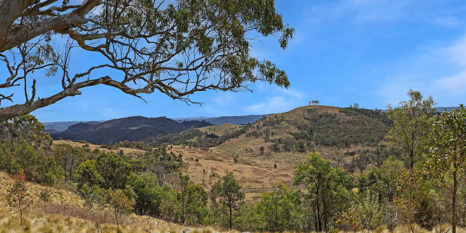 116 Pheasant Gully Road Bullio