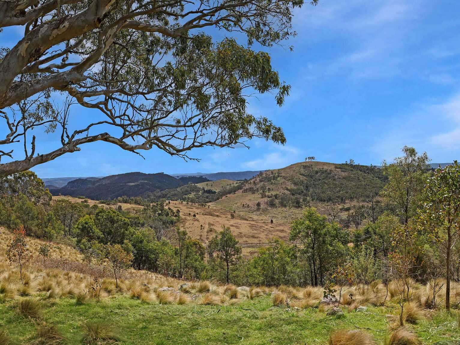 116 Pheasant Gully Road Bullio