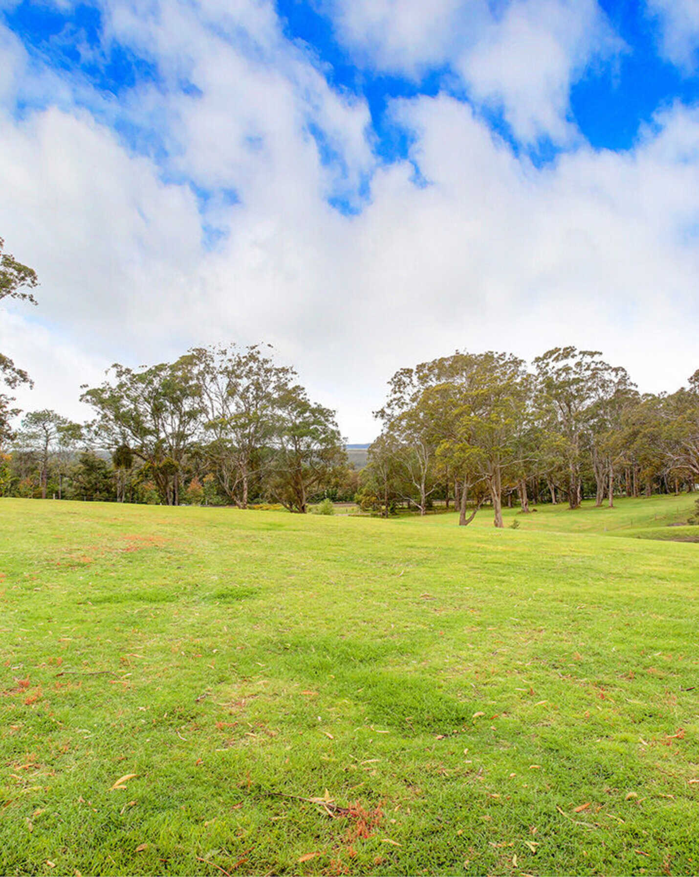 38 Park Avenue Aylmerton, Aylmerton - Thumbnail 3
