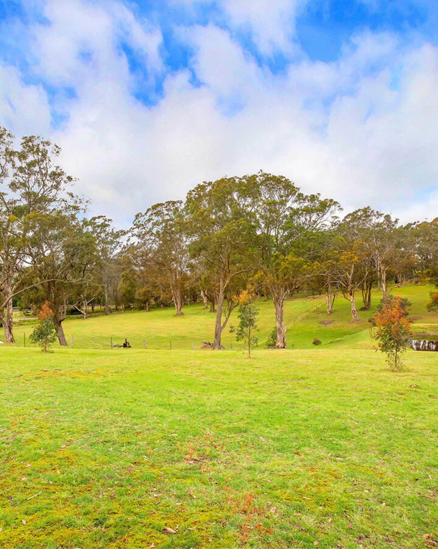 38 Park Avenue Aylmerton, Aylmerton - Thumbnail 4