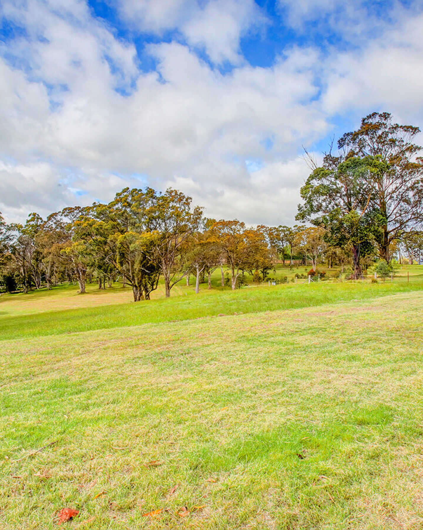 38 Park Avenue Aylmerton, Aylmerton - Thumbnail 5