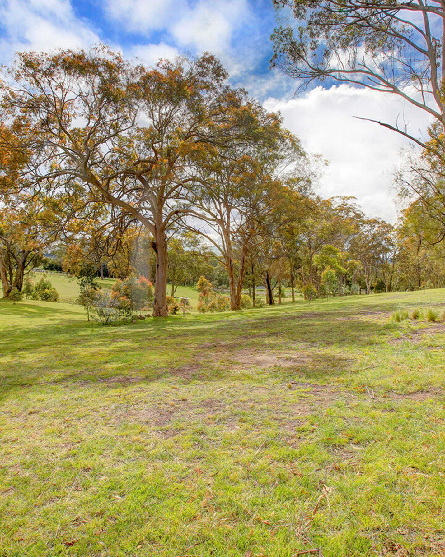 38 Park Avenue Aylmerton, Aylmerton - Thumbnail 7