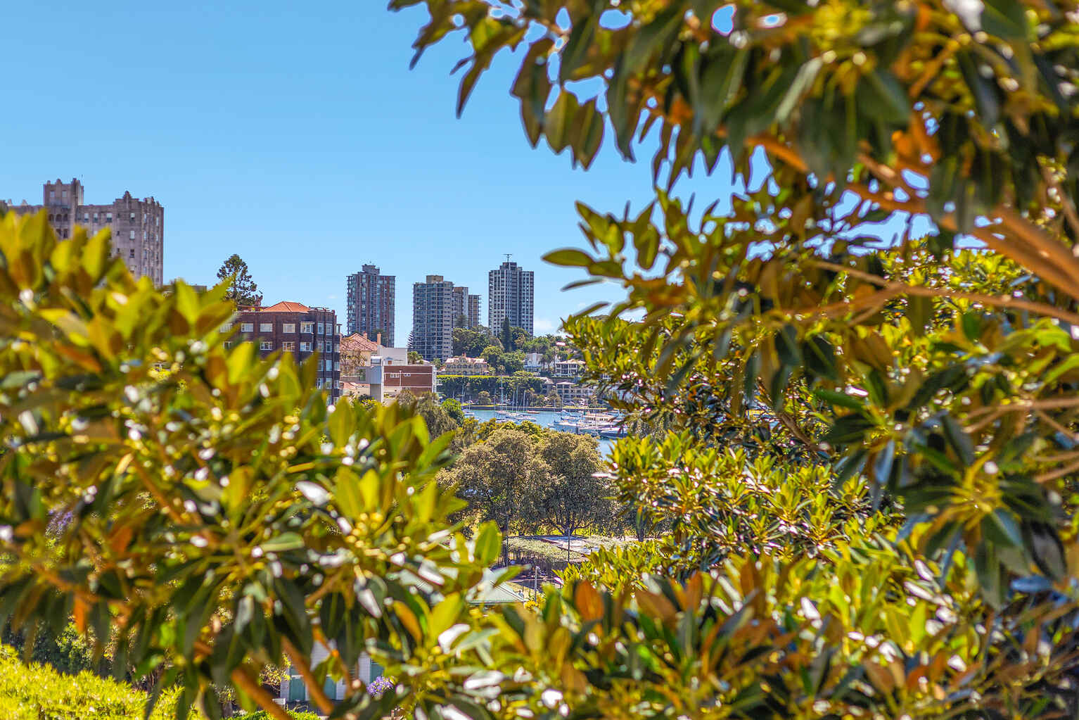 64/50 Roslyn Gardens Elizabeth Bay