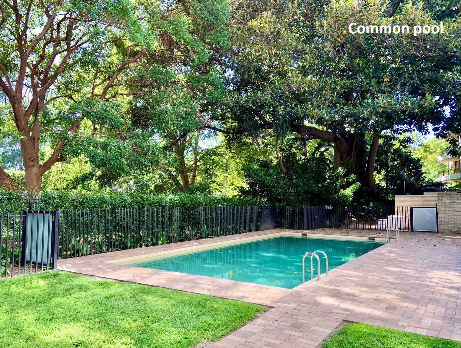 64/50 Roslyn Gardens Elizabeth Bay