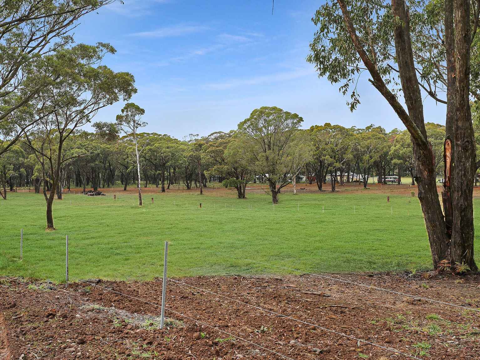 Wildwood/Nandi/Wattlebird Wingello
