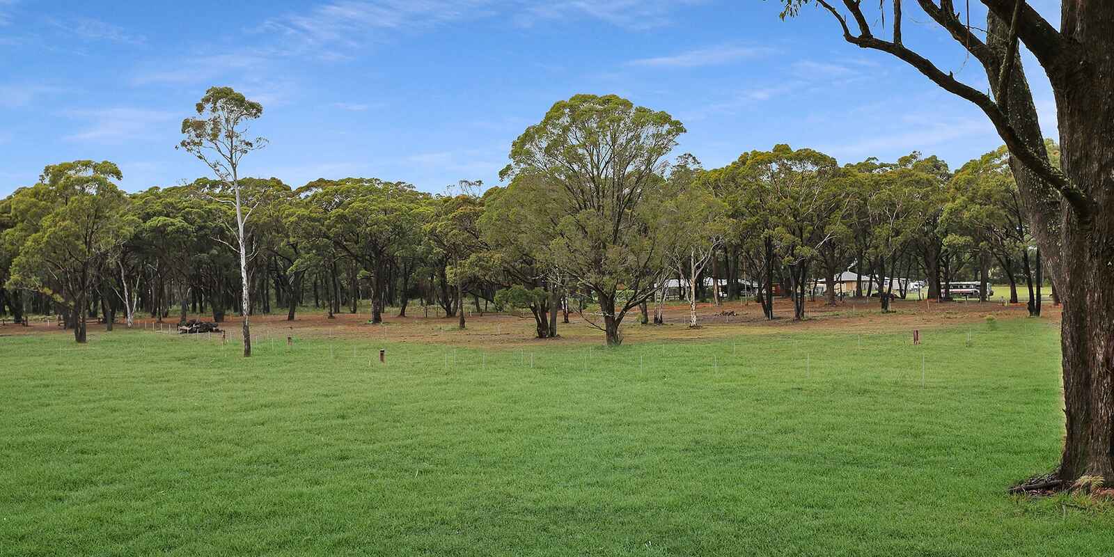  Wildwood/Nandi/Wattlebird Wingello