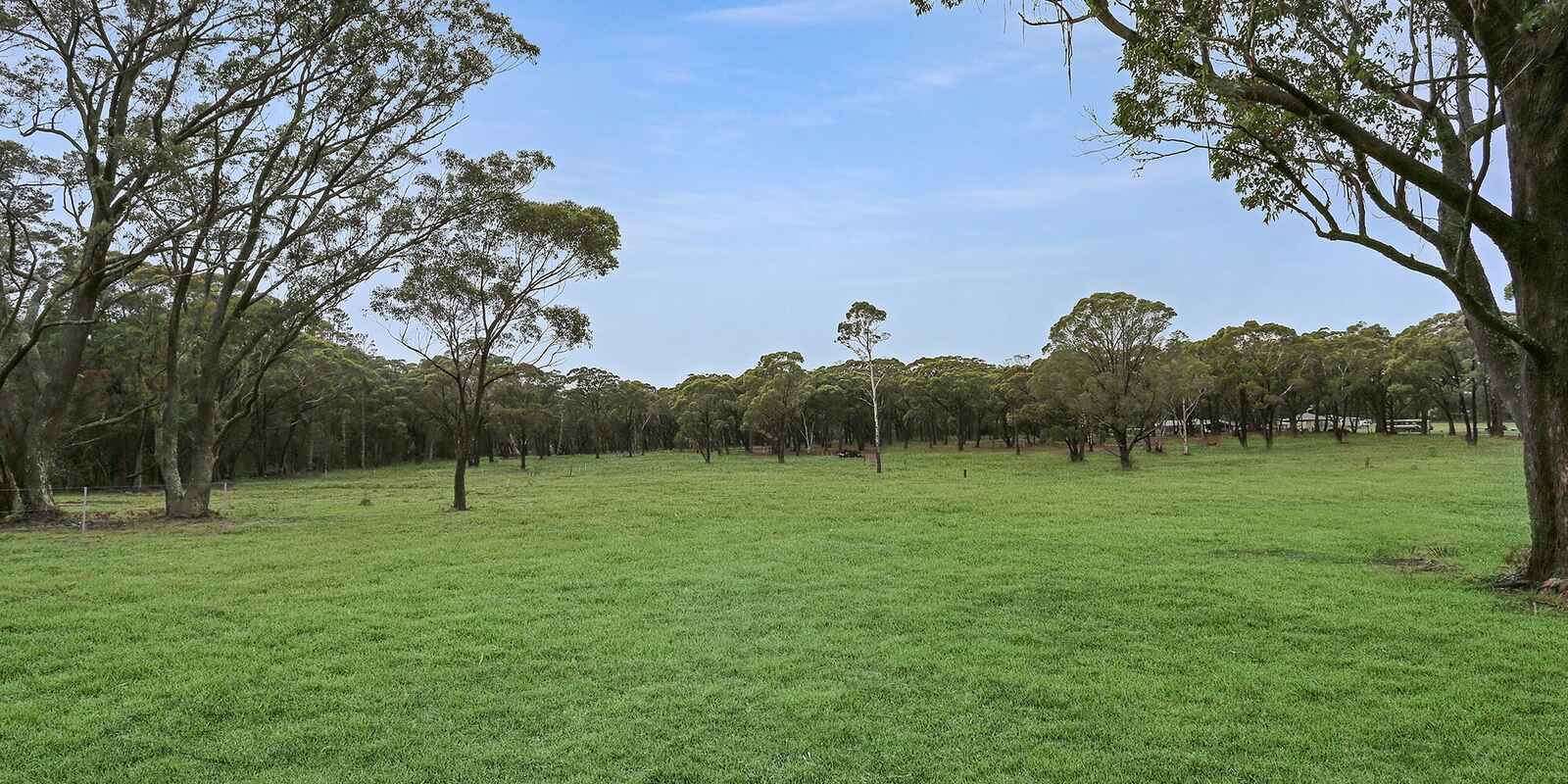  Wildwood/Nandi/Wattlebird Wingello