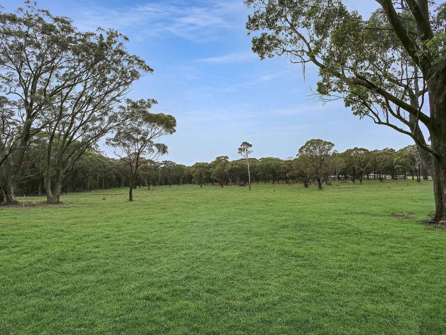  Wildwood/Nandi/Wattlebird Wingello