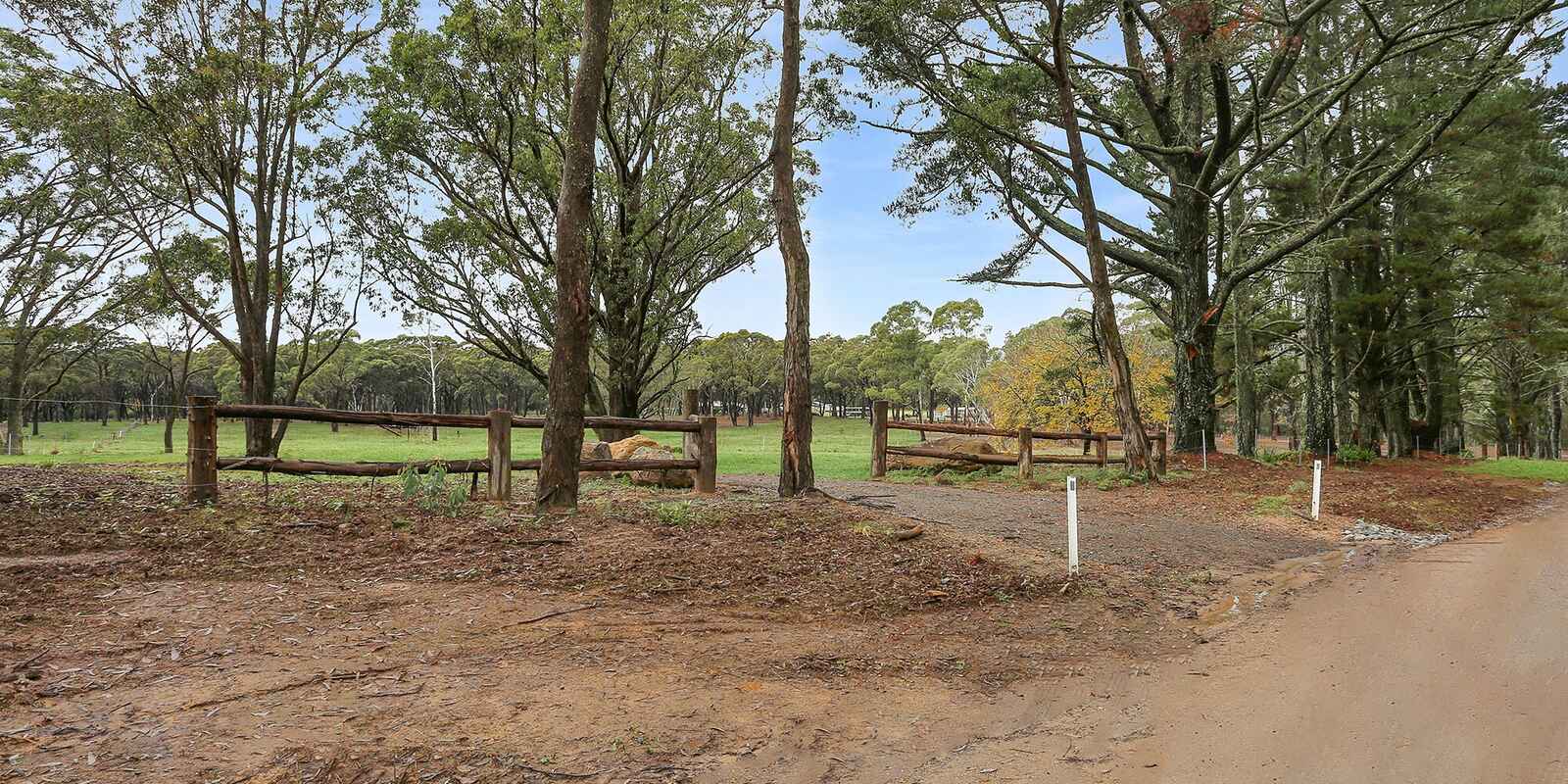  Wildwood/Nandi/Wattlebird Wingello