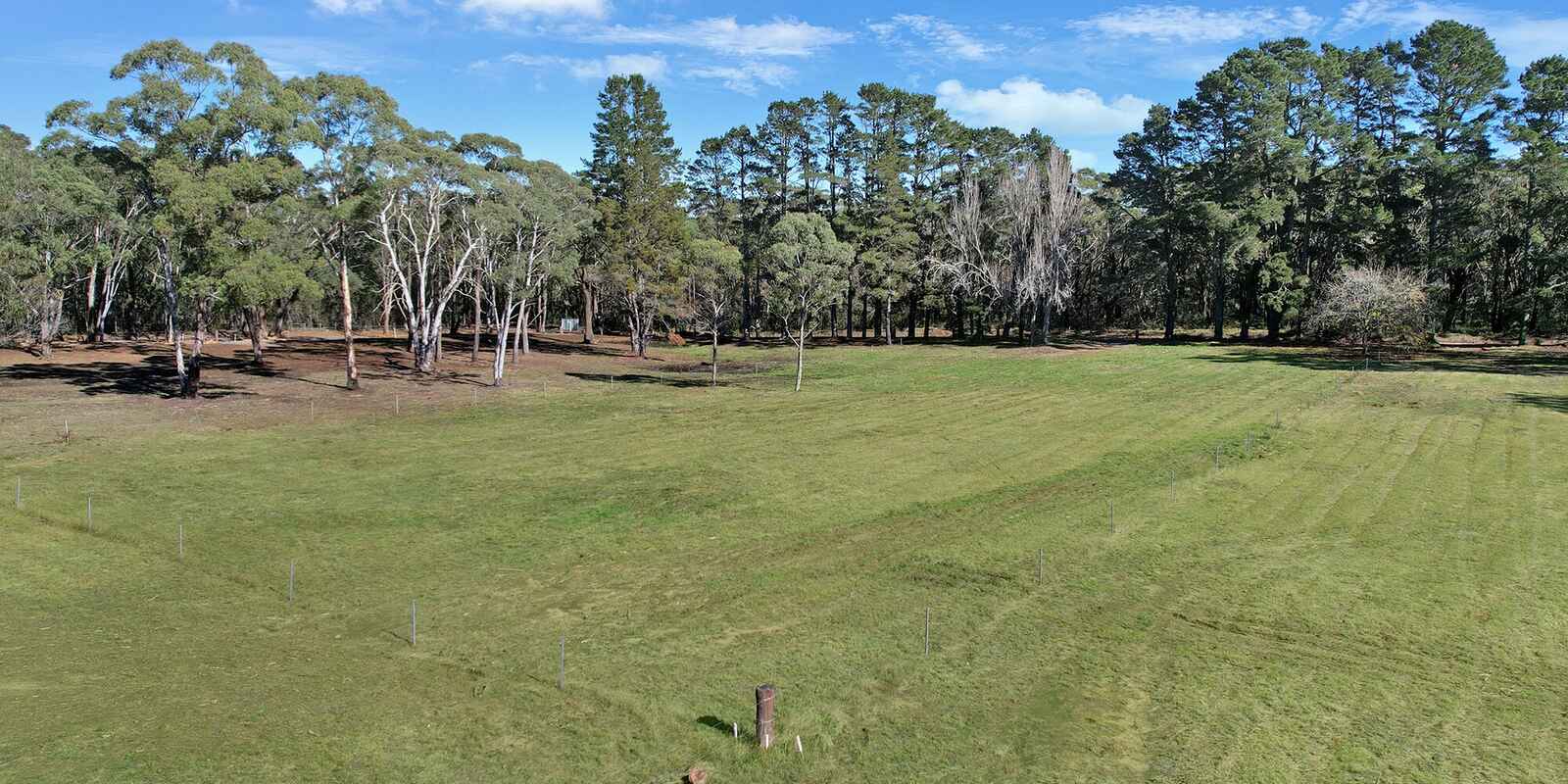  Wildwood/Nandi/Wattlebird Wingello
