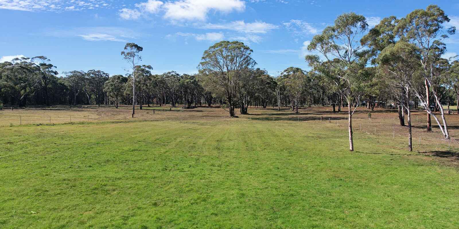  Wildwood/Nandi/Wattlebird Wingello