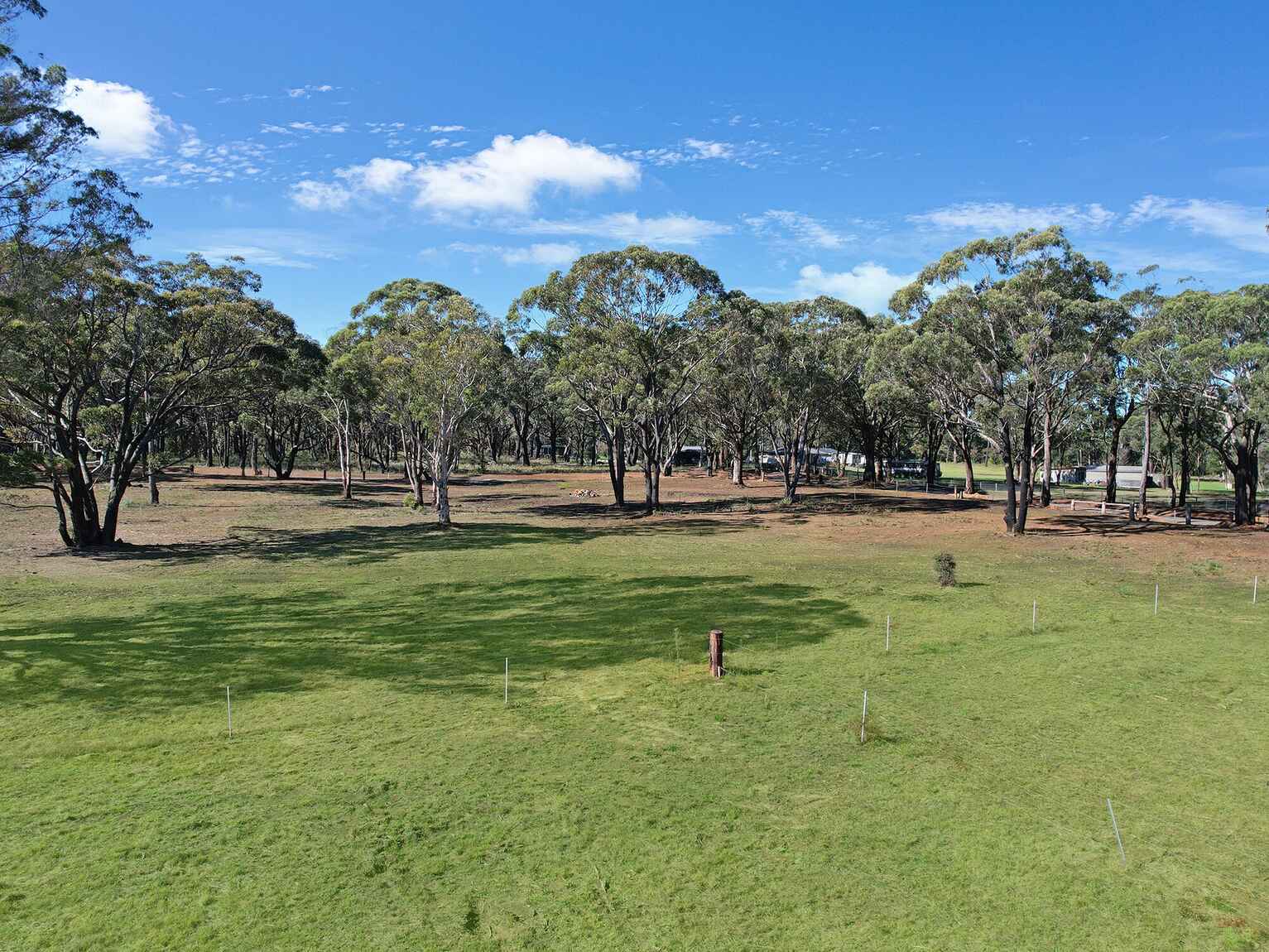  Wildwood/Nandi/Wattlebird Wingello