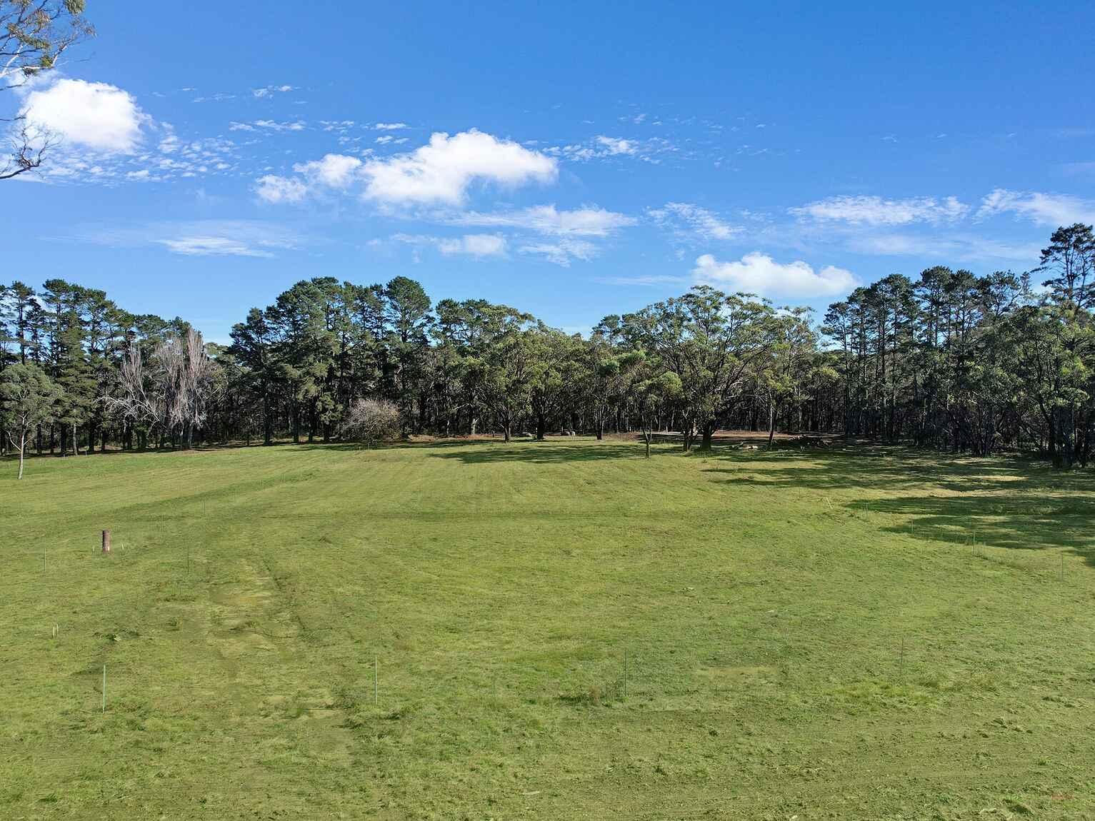  Wildwood/Nandi/Wattlebird Wingello