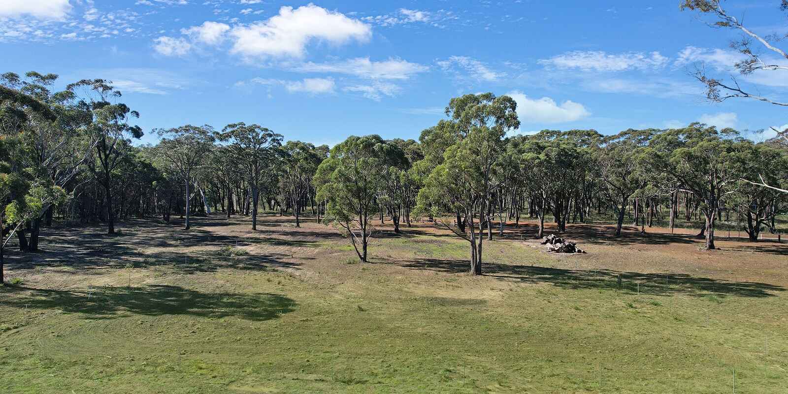  Wildwood/Nandi/Wattlebird Wingello