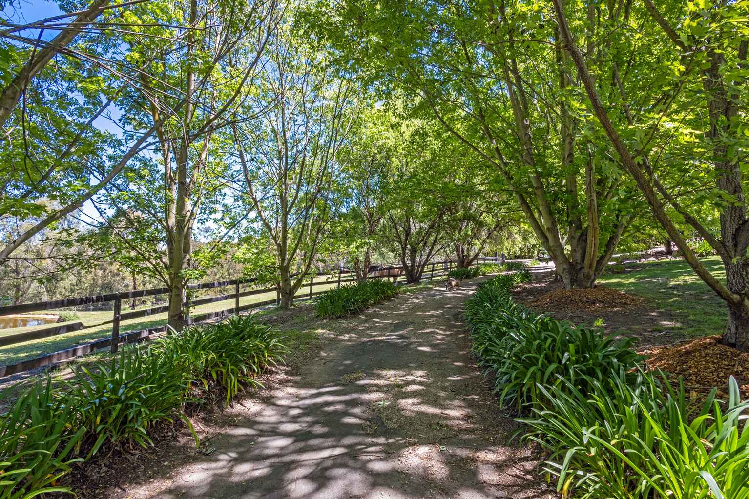 38B Morris Place Little Hartley 38B Morris Place Little Hartley