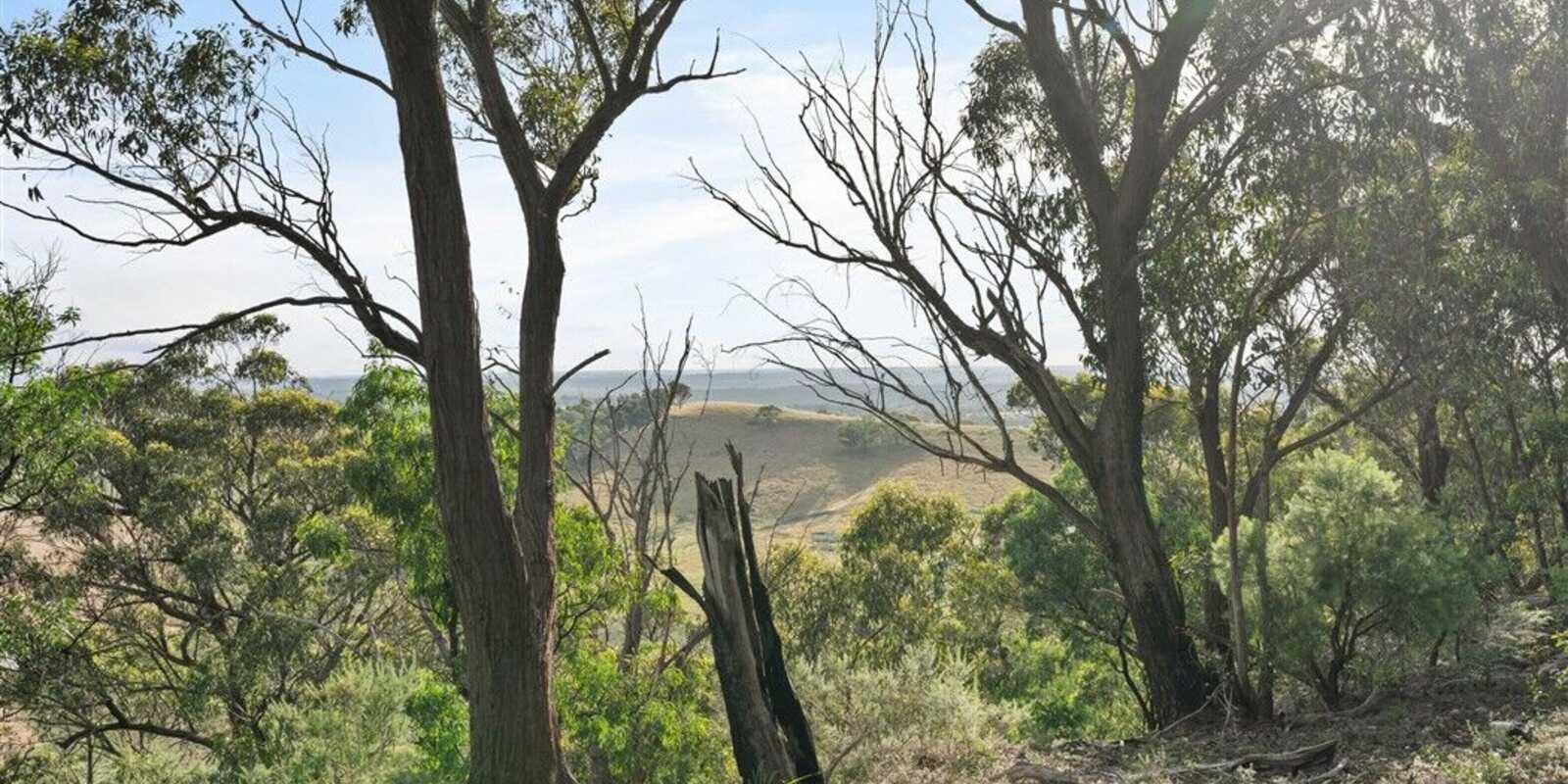 501 Tugalong Road Canyonleigh 501 Tugalong Road Canyonleigh