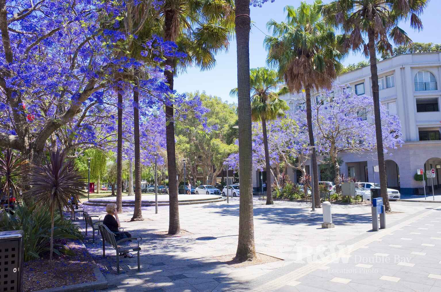 4e/45 Ocean Avenue Double Bay