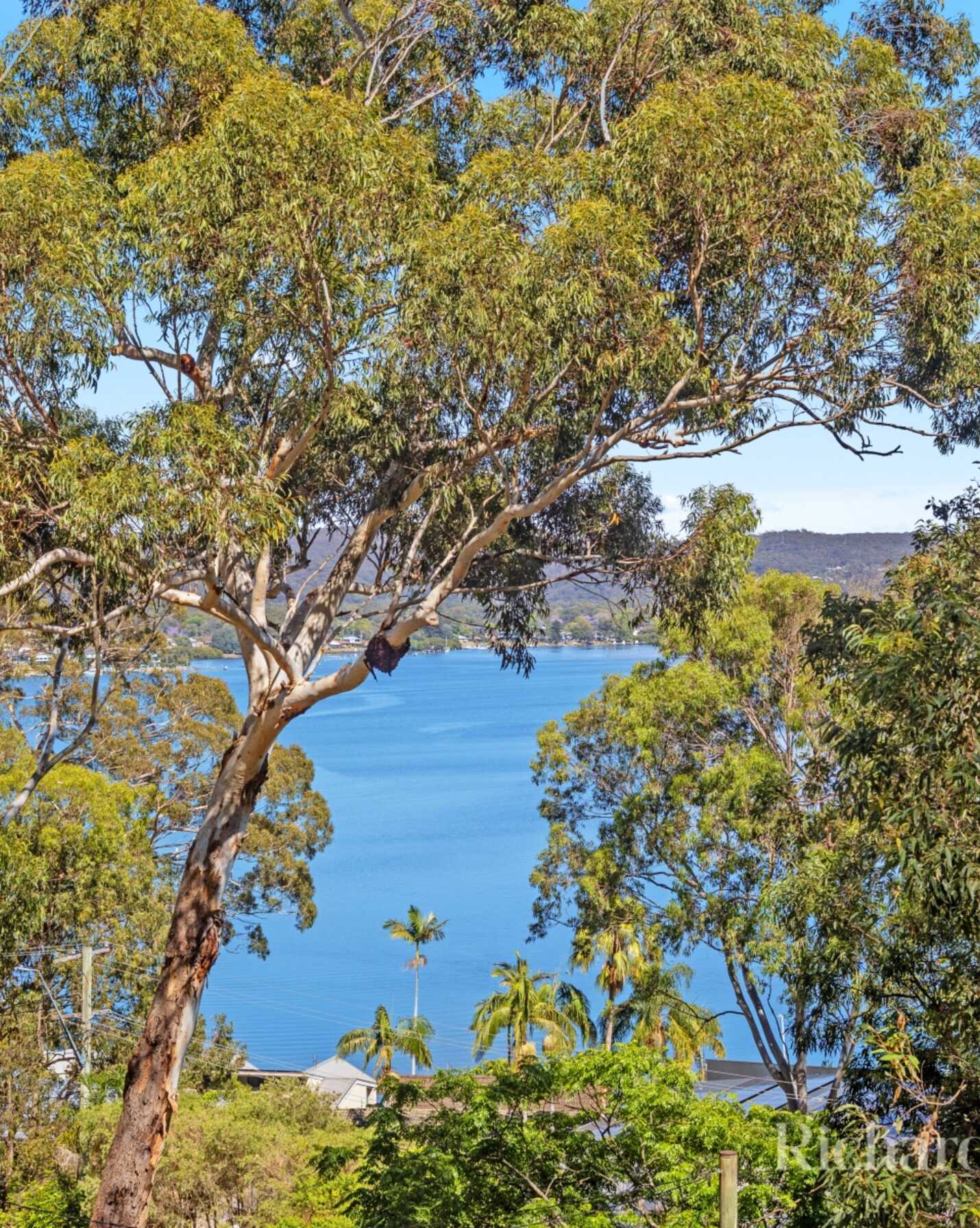 3 Daley Avenue Daleys Point, Point - Thumbnail 4