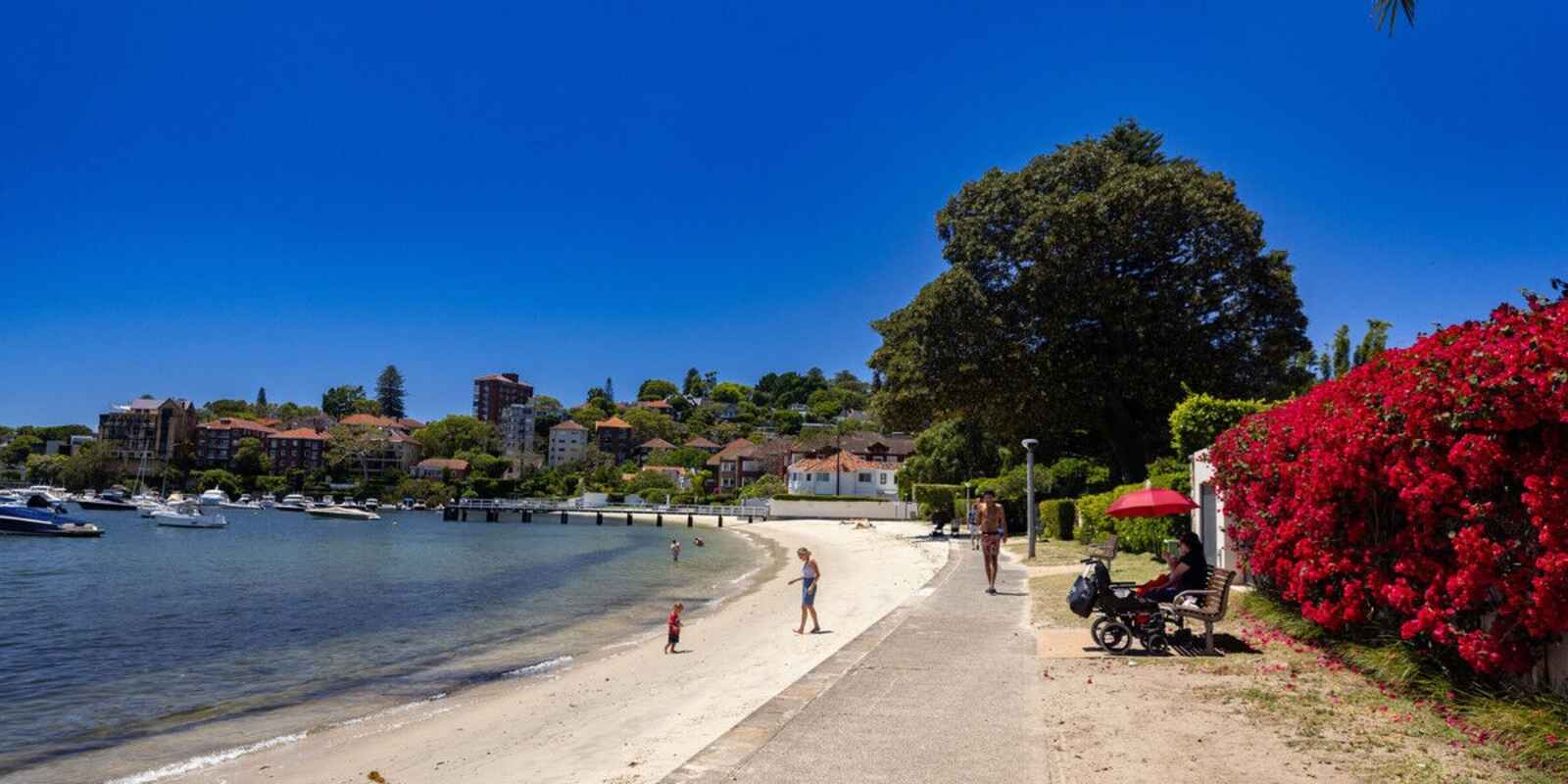 8D/45 Ocean Avenue Double Bay