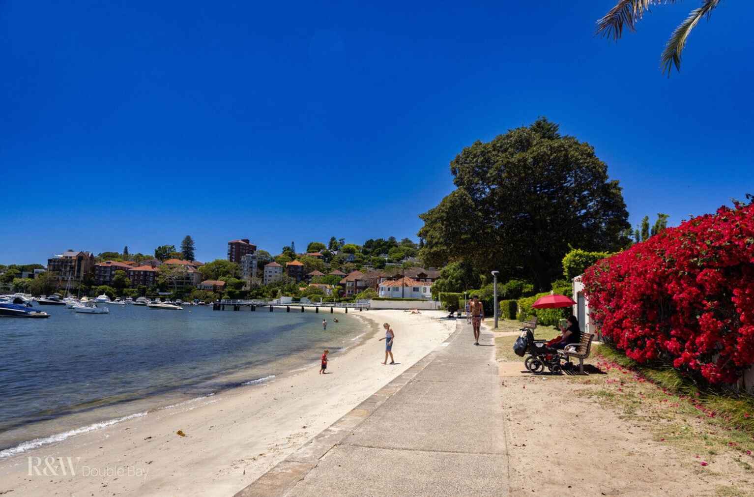 8D/45 Ocean Avenue Double Bay