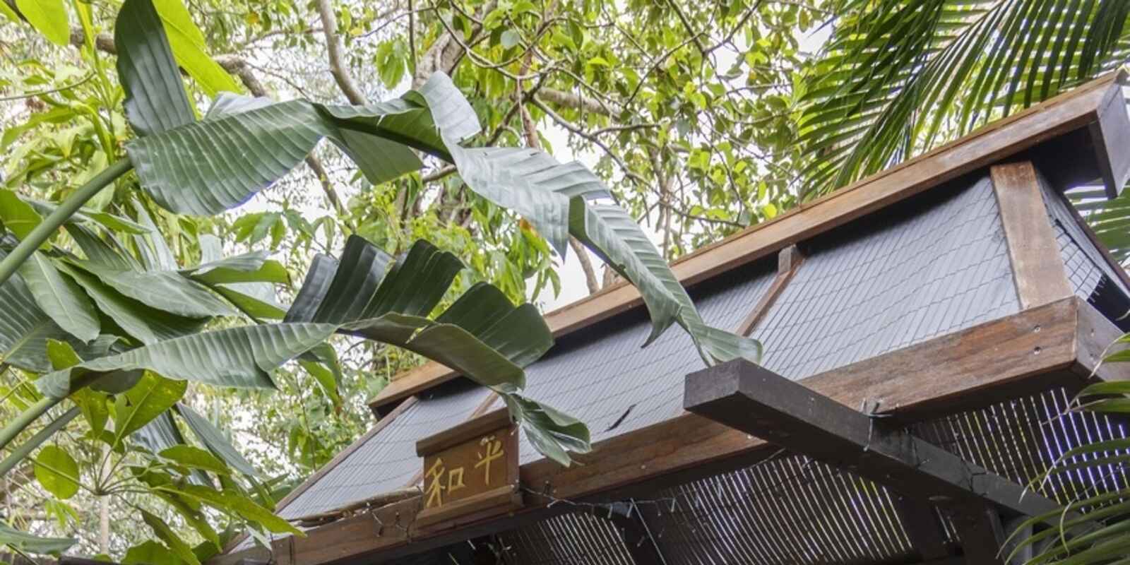 20 Entwood Avenue Coolum Beach