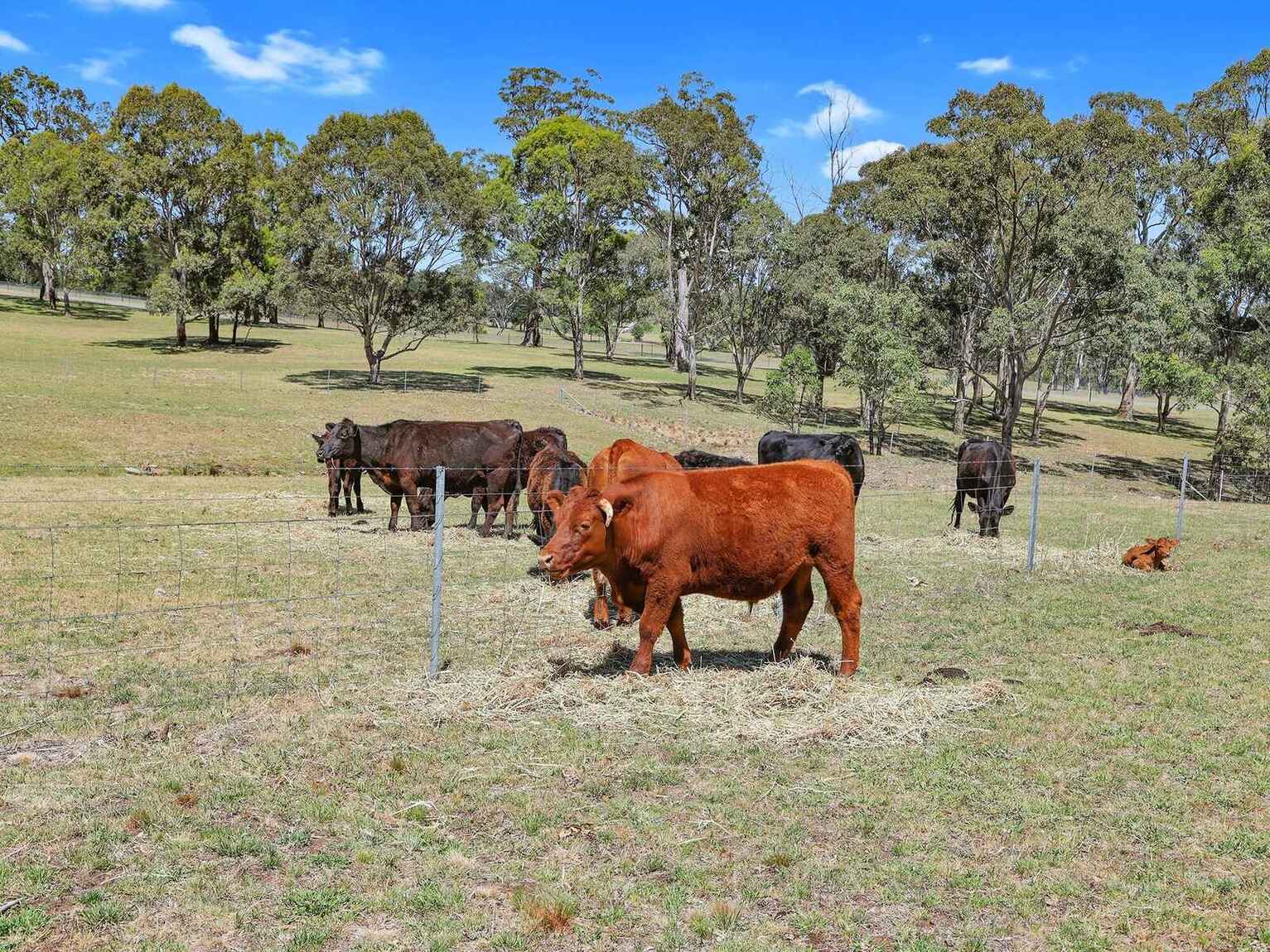 49 Binghams Lane Tallong