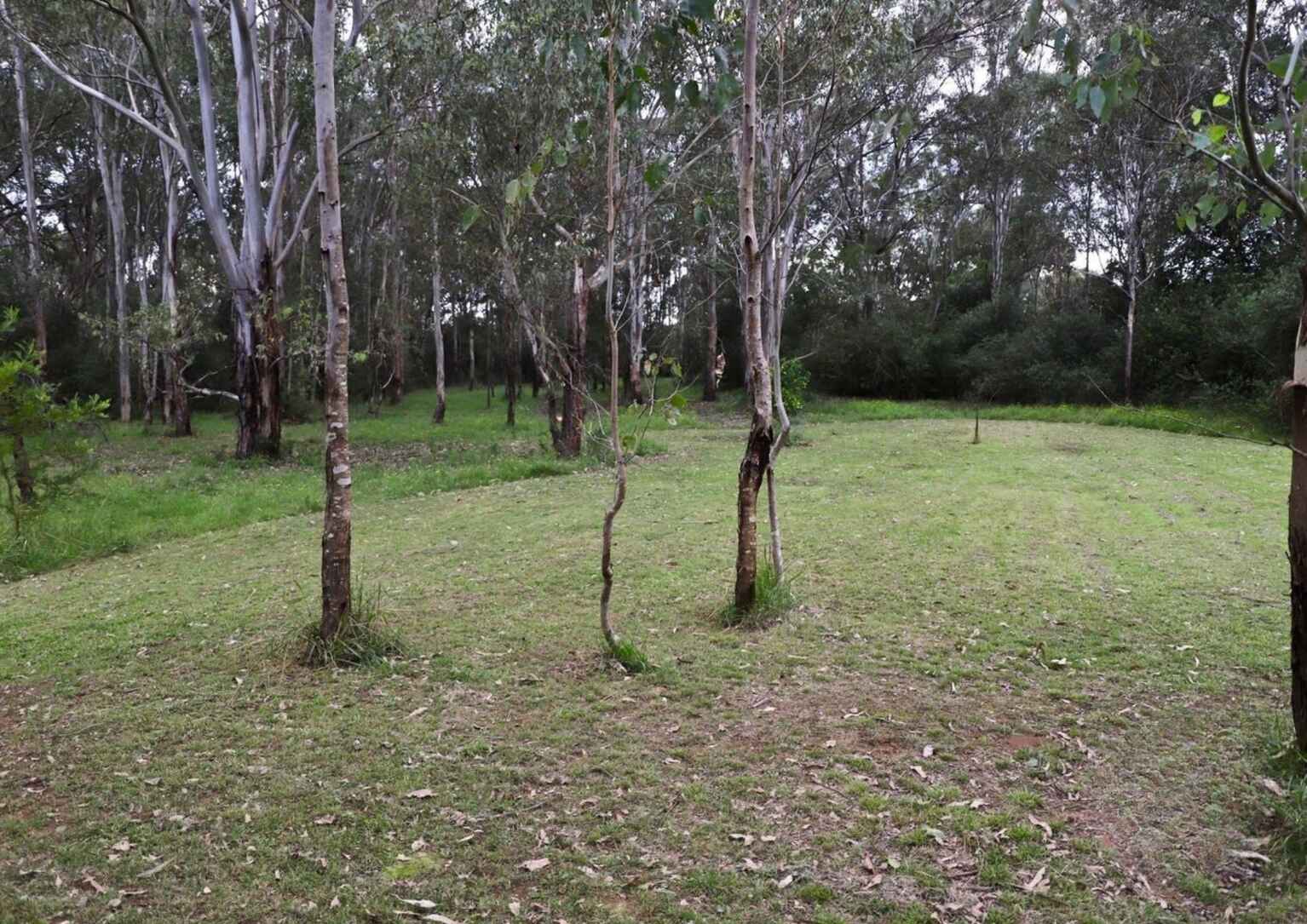 42 Belmore Road Bringelly