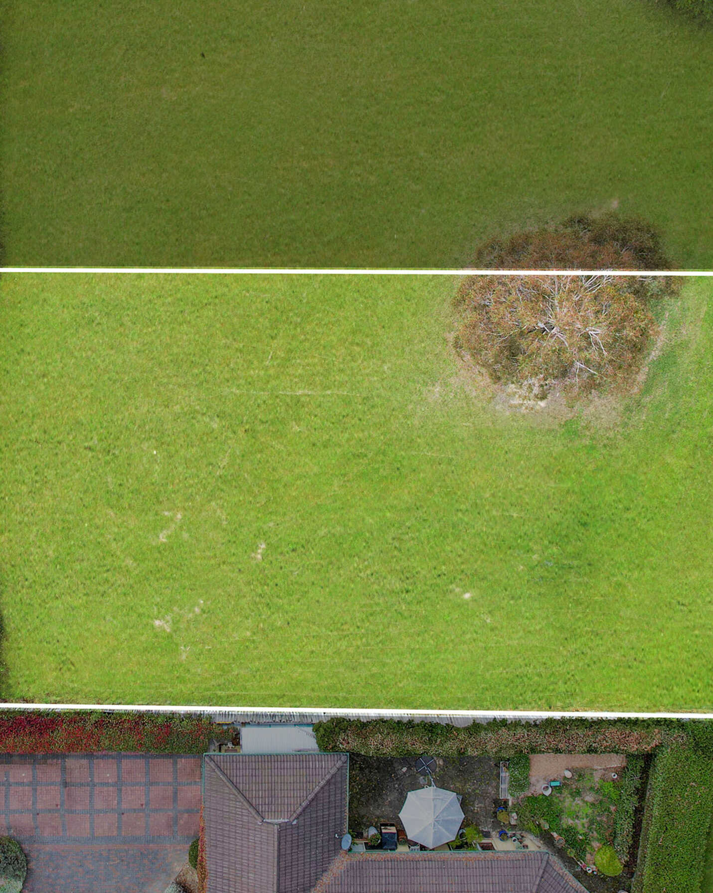 56 Watson Road Moss Vale, Vale - Thumbnail 2